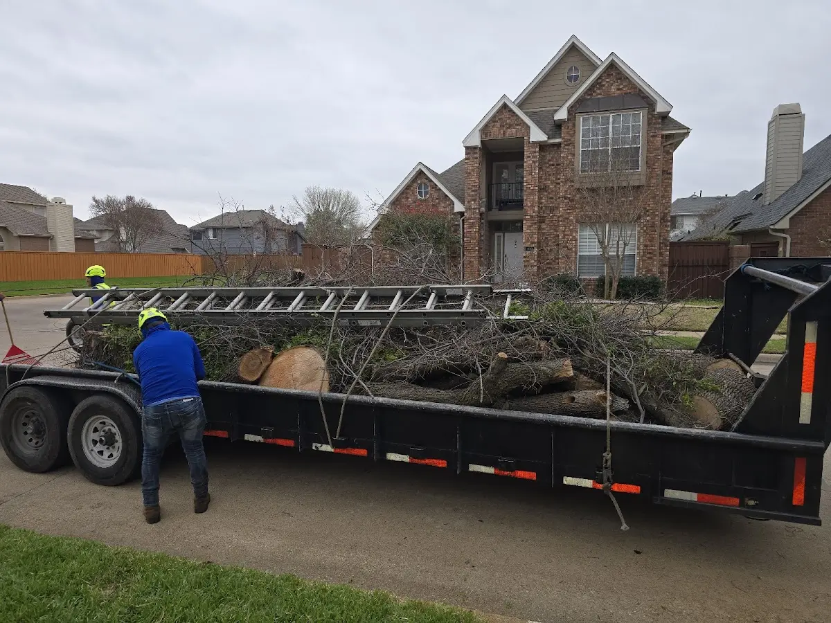 Expert Lot Clearing with proper safety equipment in Rosedale